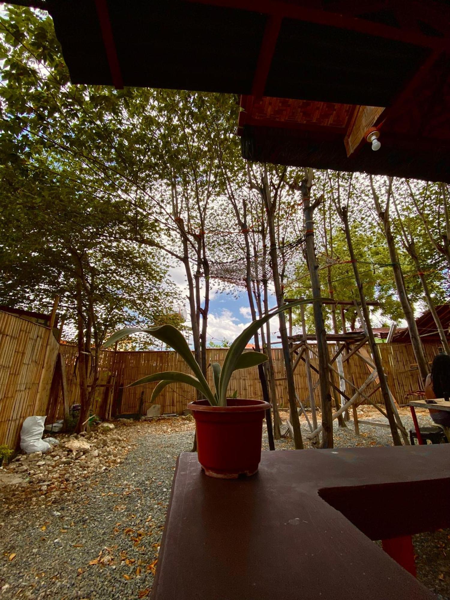 Moalboal Panagsama Beach Topbudz Hostel エクステリア 写真